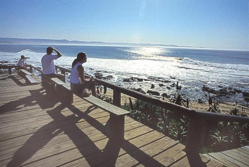 Diaz 15 House On The Bay Hotel Jeffreys Bay Exterior foto
